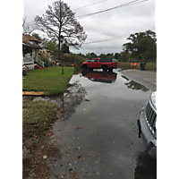 King tide Chesapeake image